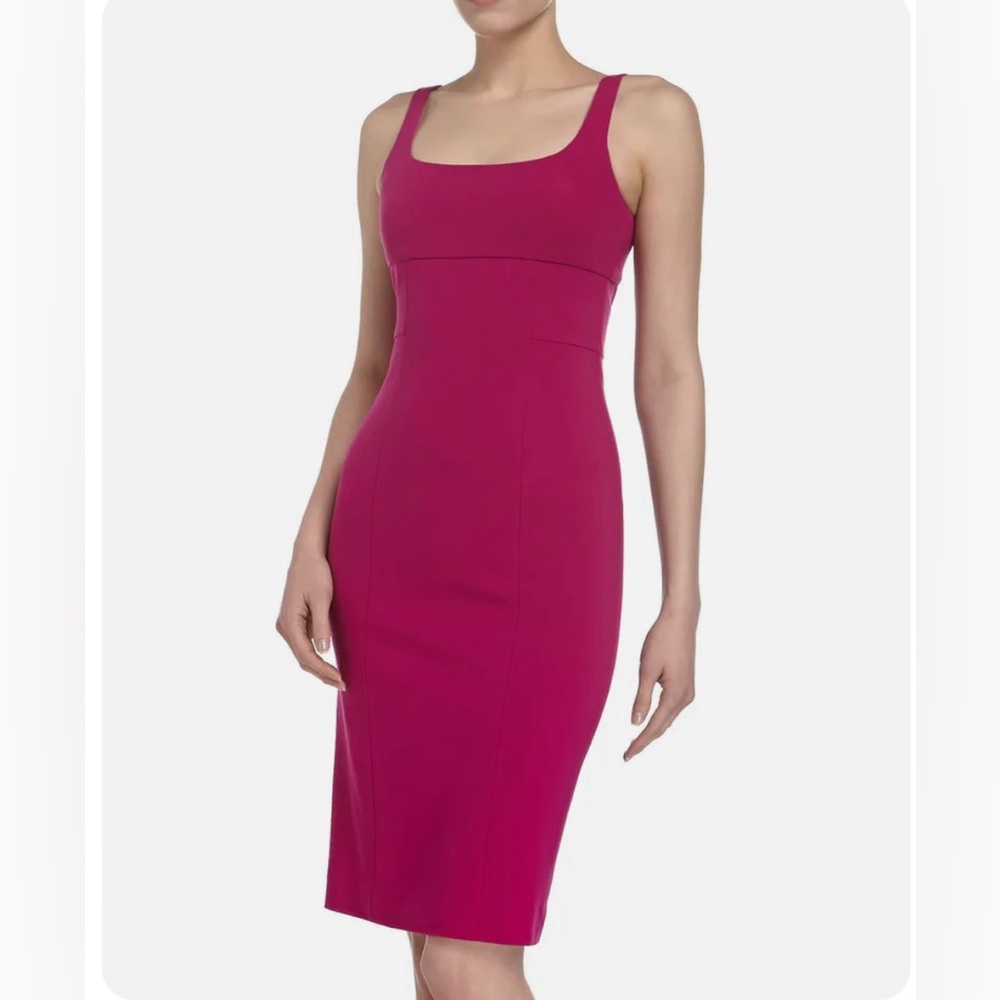 Diane Von Furstenberg Fuschia Bridget Dress size 2 EUC
